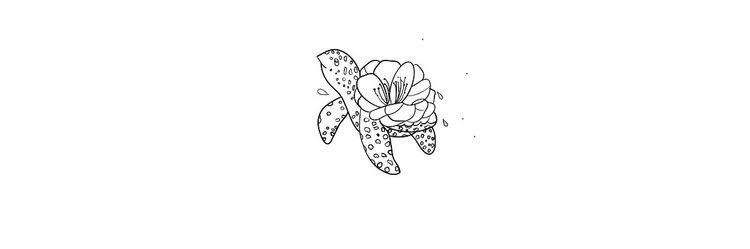 PiitaSM's profile banner image