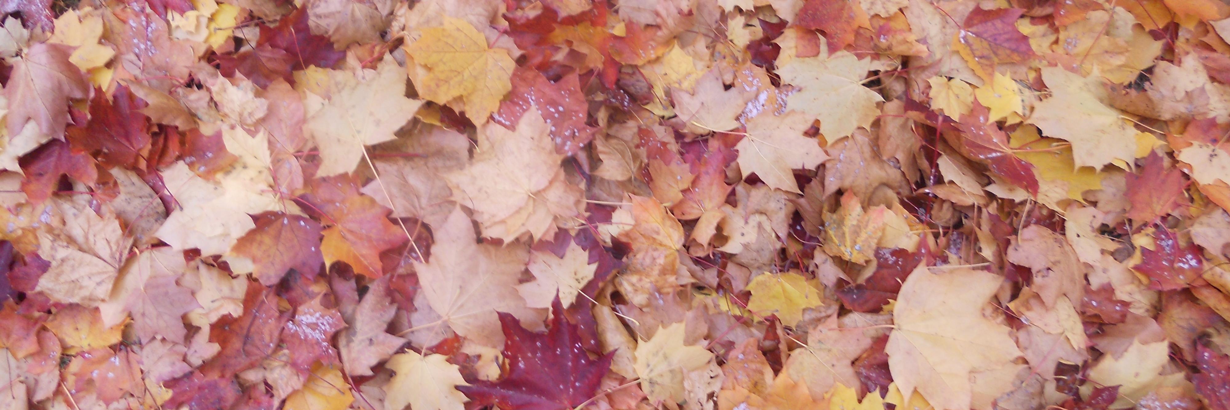 Carlos Mata Indurain banner