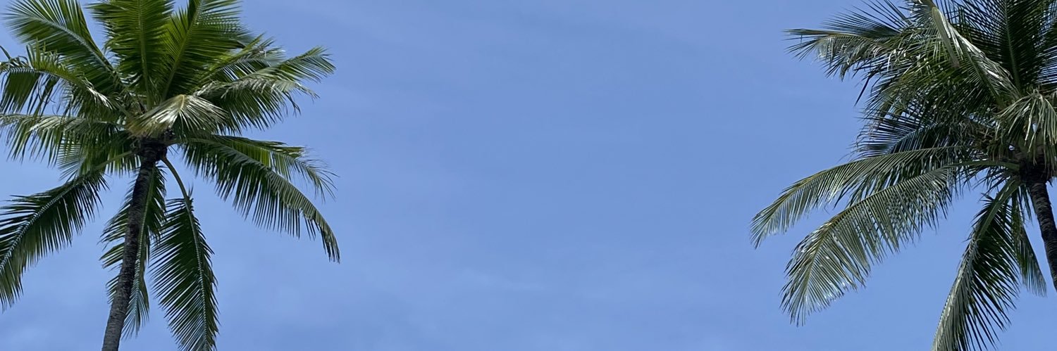 haypip's profile banner image