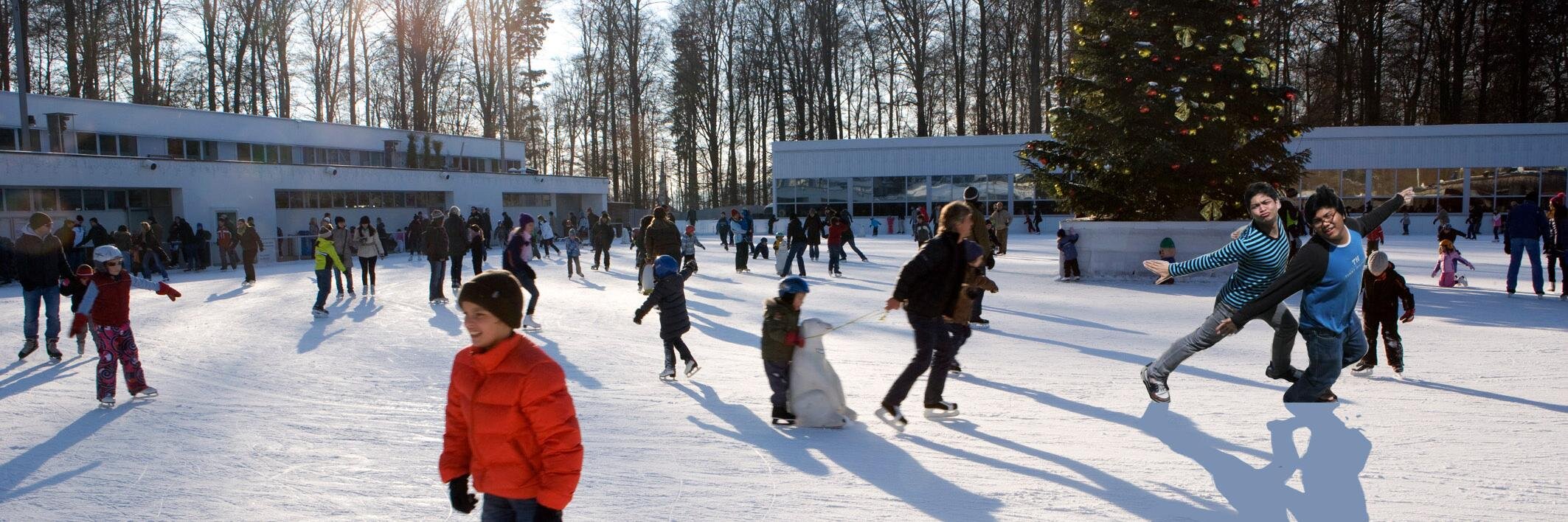 Cabbages 🍑 |💘 |🌸👑 |🐹🌻|🪄 banner