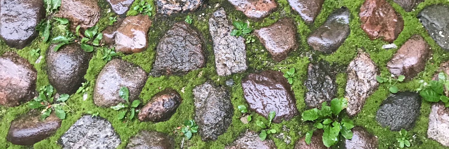 martnormet's profile banner image