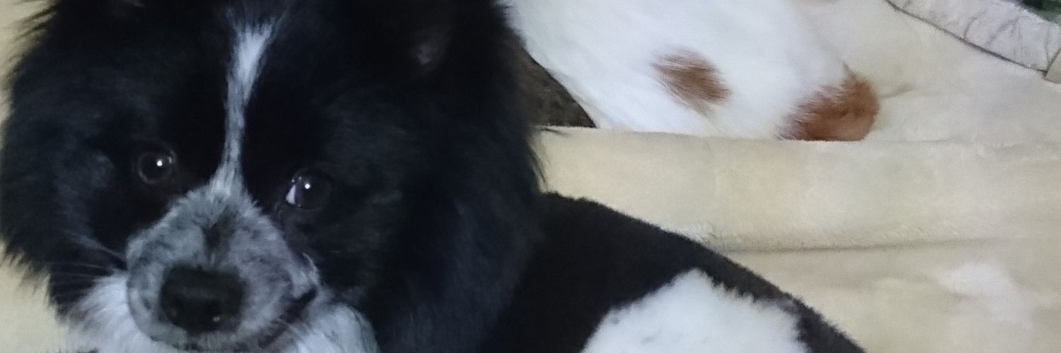 Mokokisson1991's profile banner image