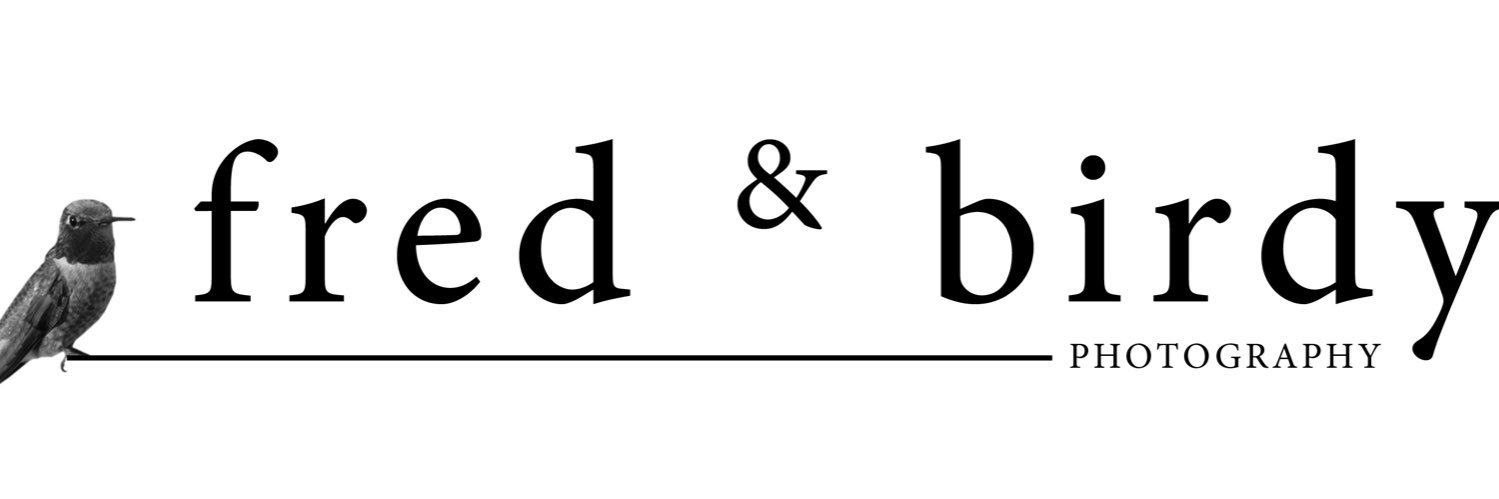 fredandbirdy's profile banner image