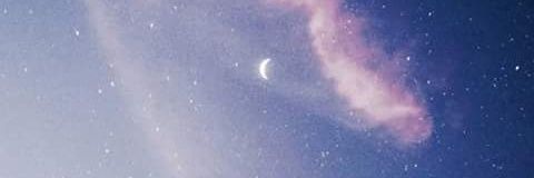 natissousa's profile banner image