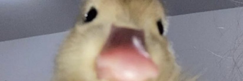RuizSkrr's profile banner image