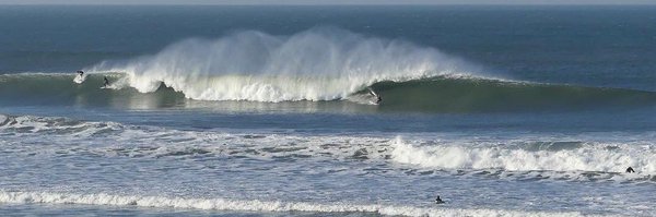 trev_toes Profile Banner