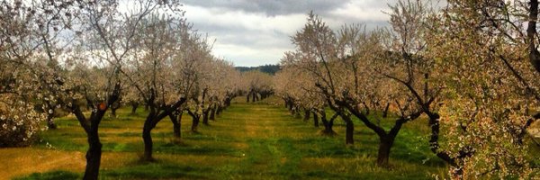 ChemaGiral Profile Banner