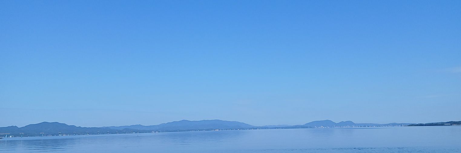 焼津市シーバスレスリング協会 banner