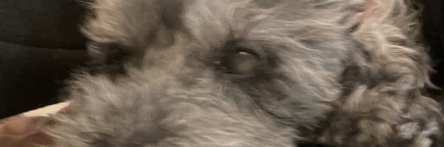 theowl1111111's profile banner image