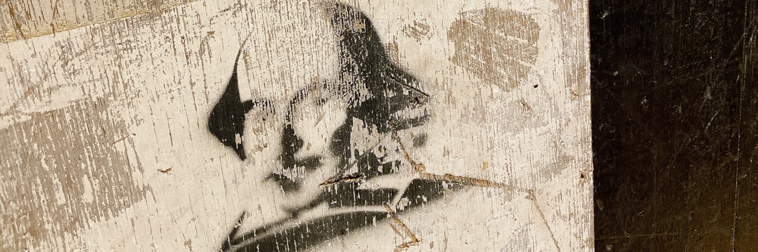 ariAChikaT's profile banner image
