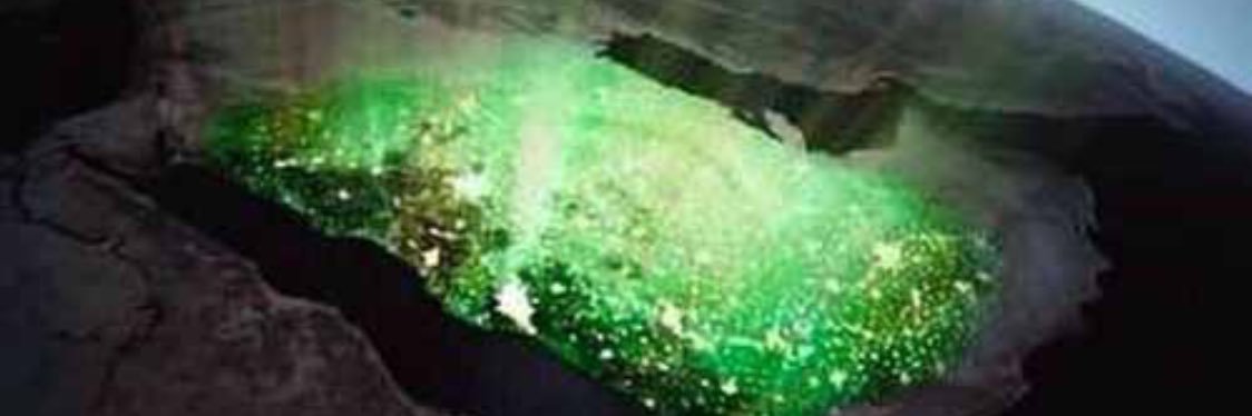 حسن احمد الركن banner