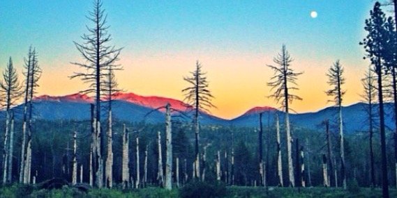 HannahrWeil's profile banner image
