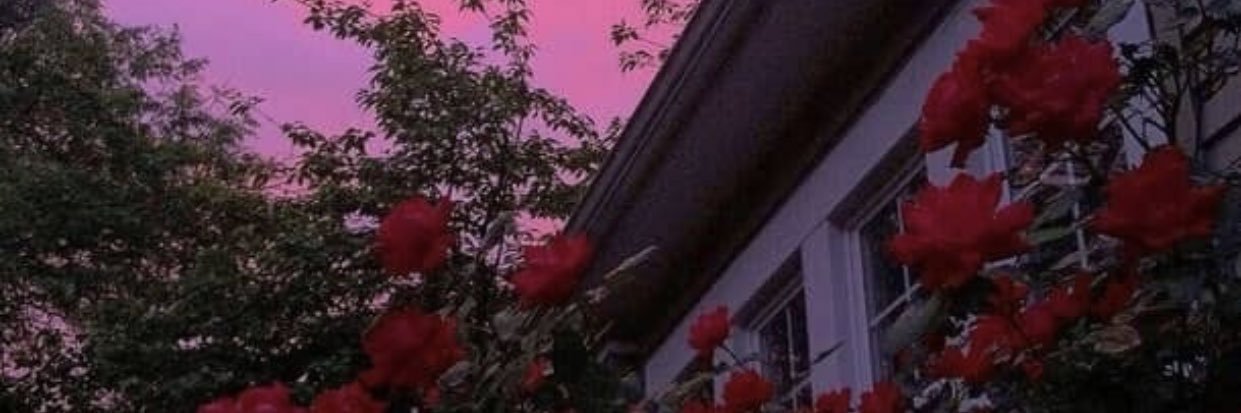 kaidollface's profile banner image