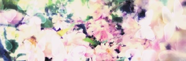 ha_runa03's profile banner image