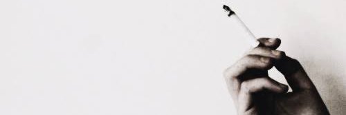 Alilesx's profile banner image