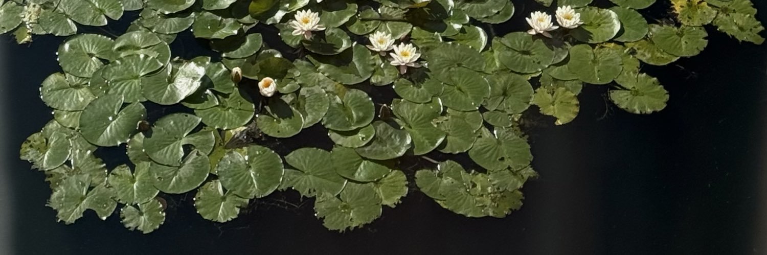 ddaiissyy__'s profile banner image