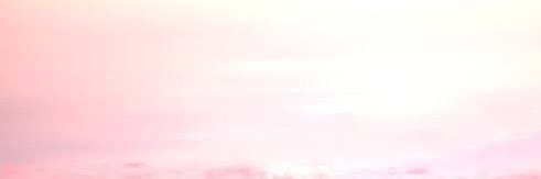 고미 banner