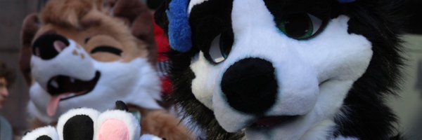 KasparCollie Profile Banner