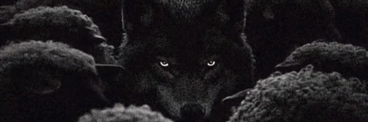 RehaAnill's profile banner image