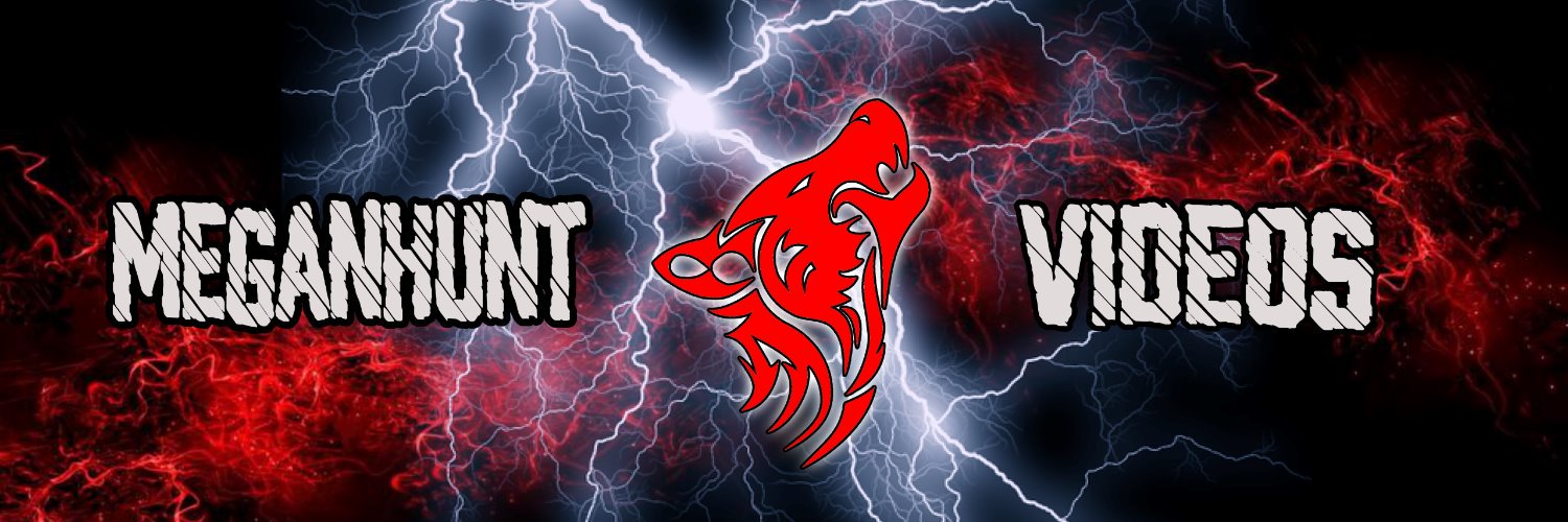 SANDERO68's profile banner image