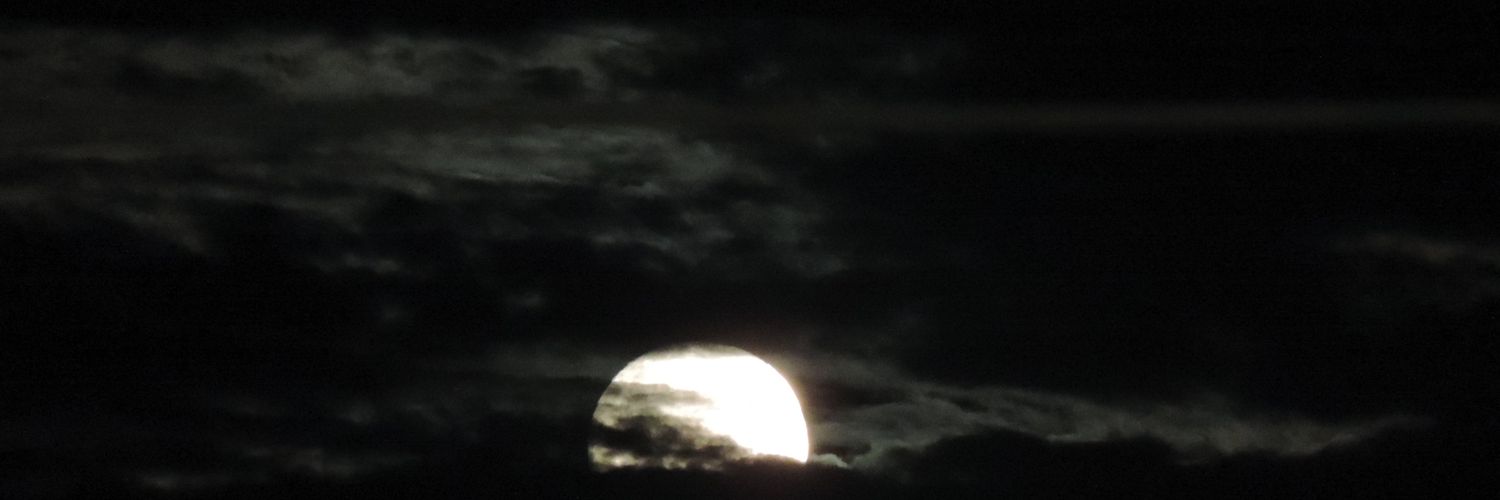 085llua's profile banner image
