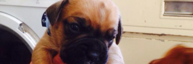 millsy_muggins's profile banner image