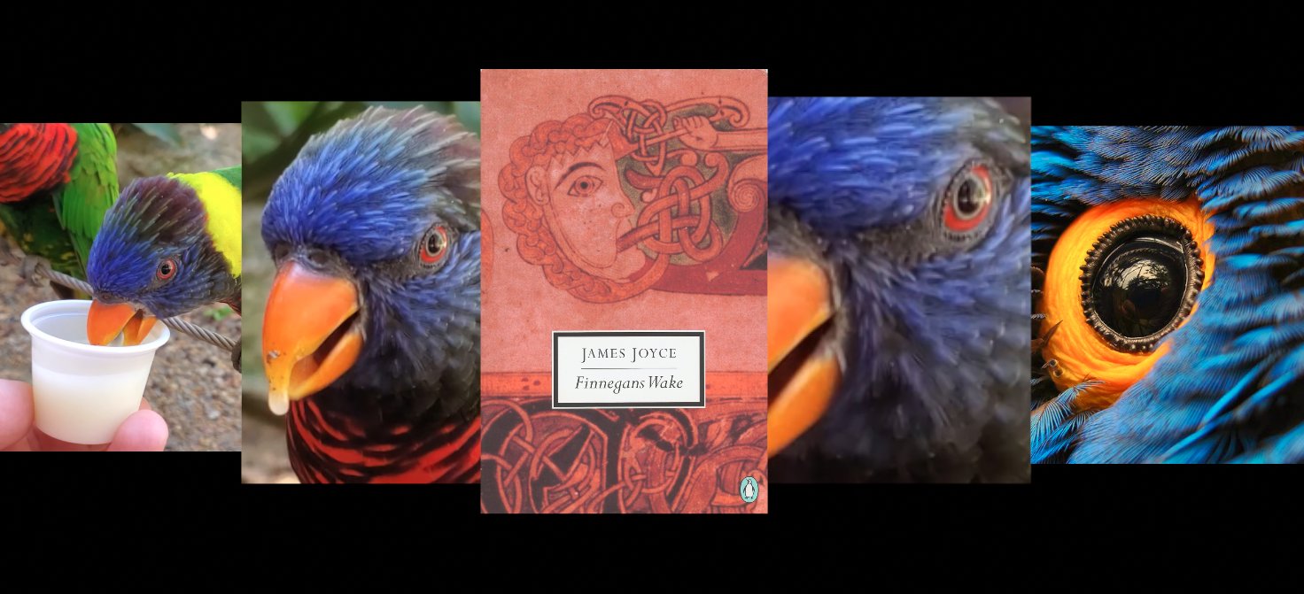 PaperBirdBooks's profile banner image