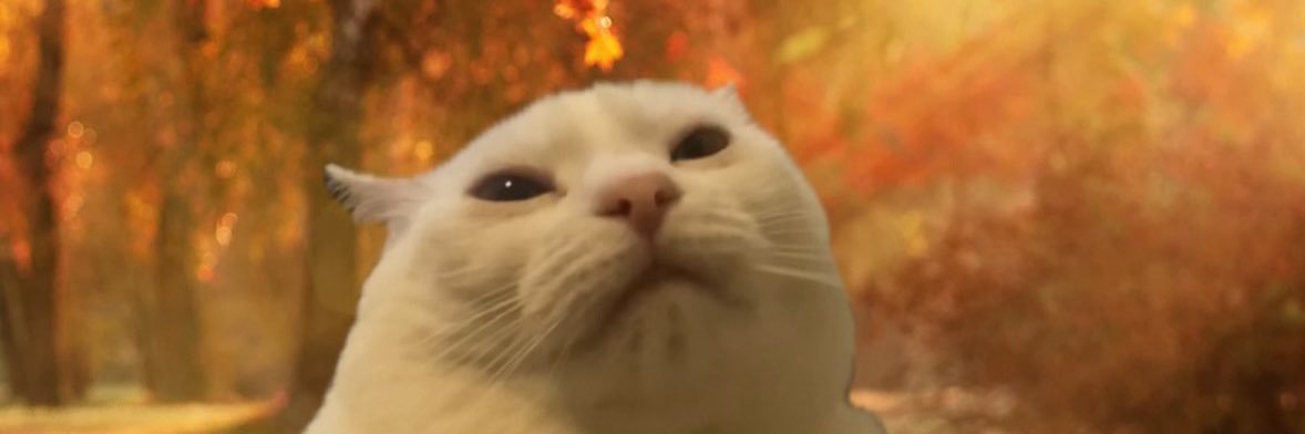 McDaddy106's profile banner image