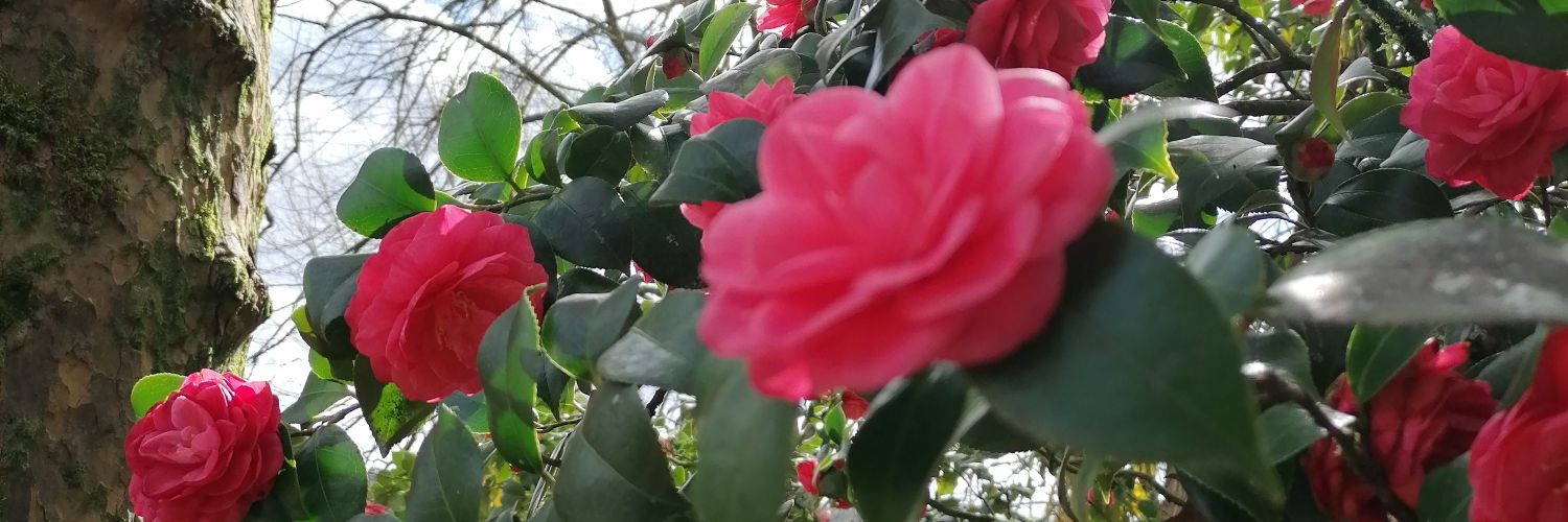 MariaRodrigo18's profile banner image