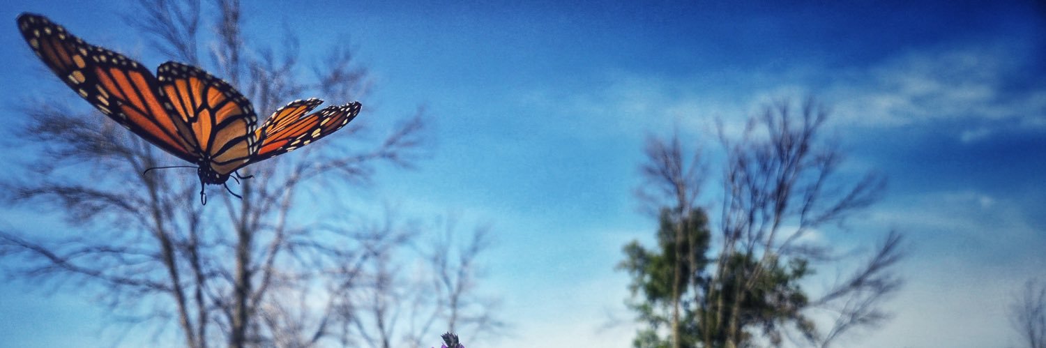 Fuzzy110's profile banner image