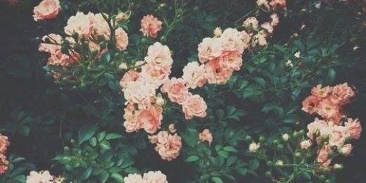 CaseyTheWanted's profile banner image
