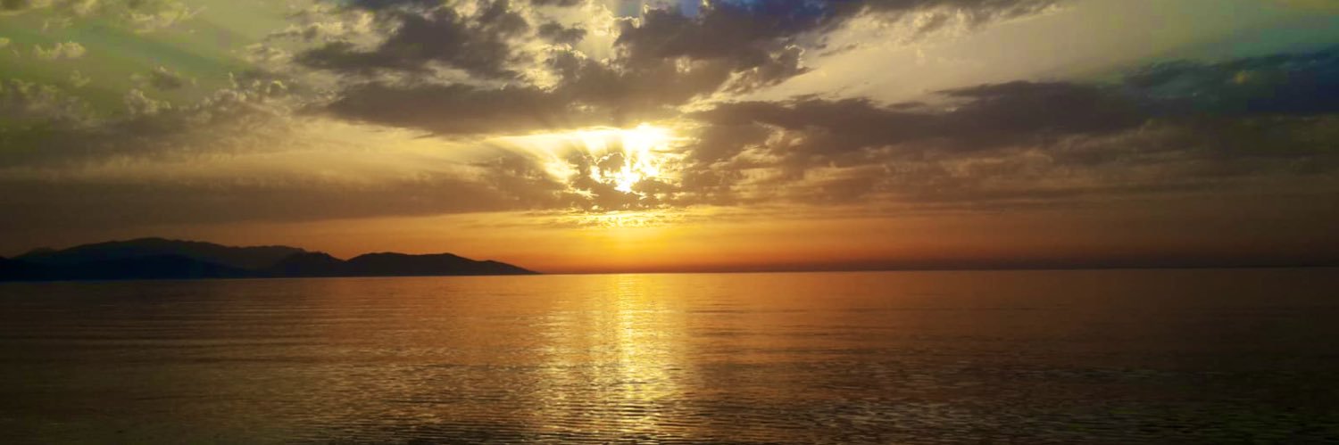 ozlemsigva's profile banner image