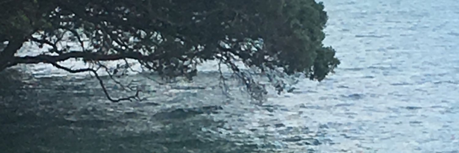 OrchestrasCentral banner