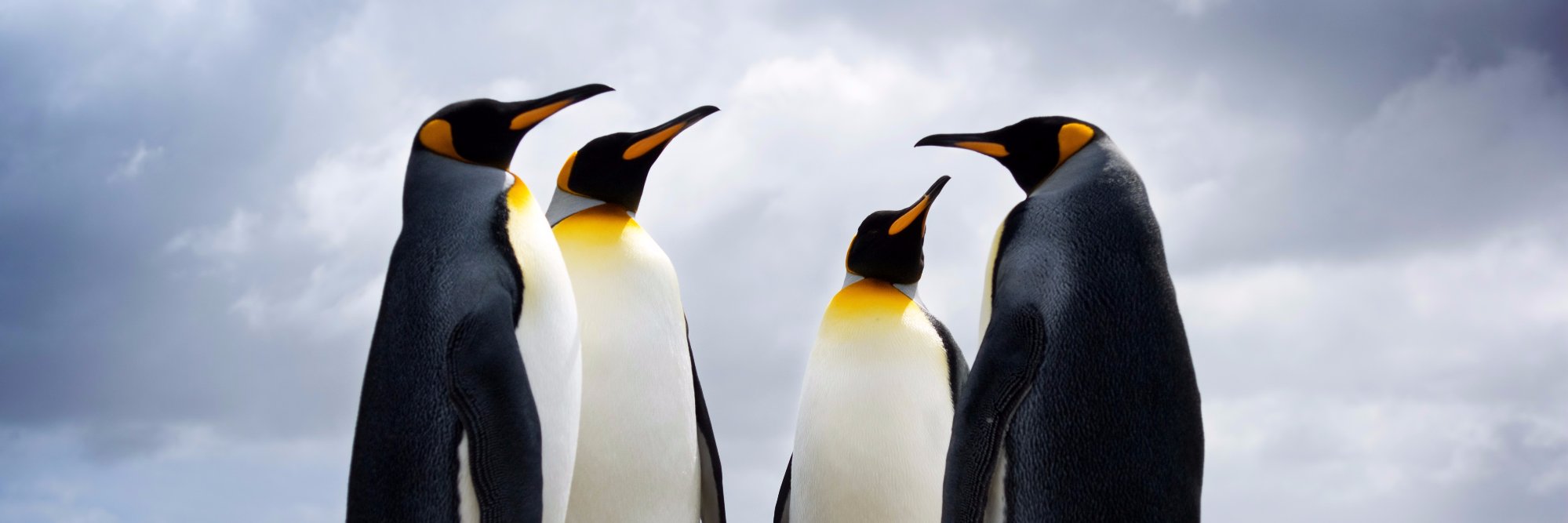 Gordonopleiding's profile banner image
