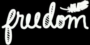 fiskabunga's profile banner image