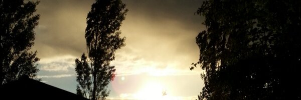 lo_Om Profile Banner