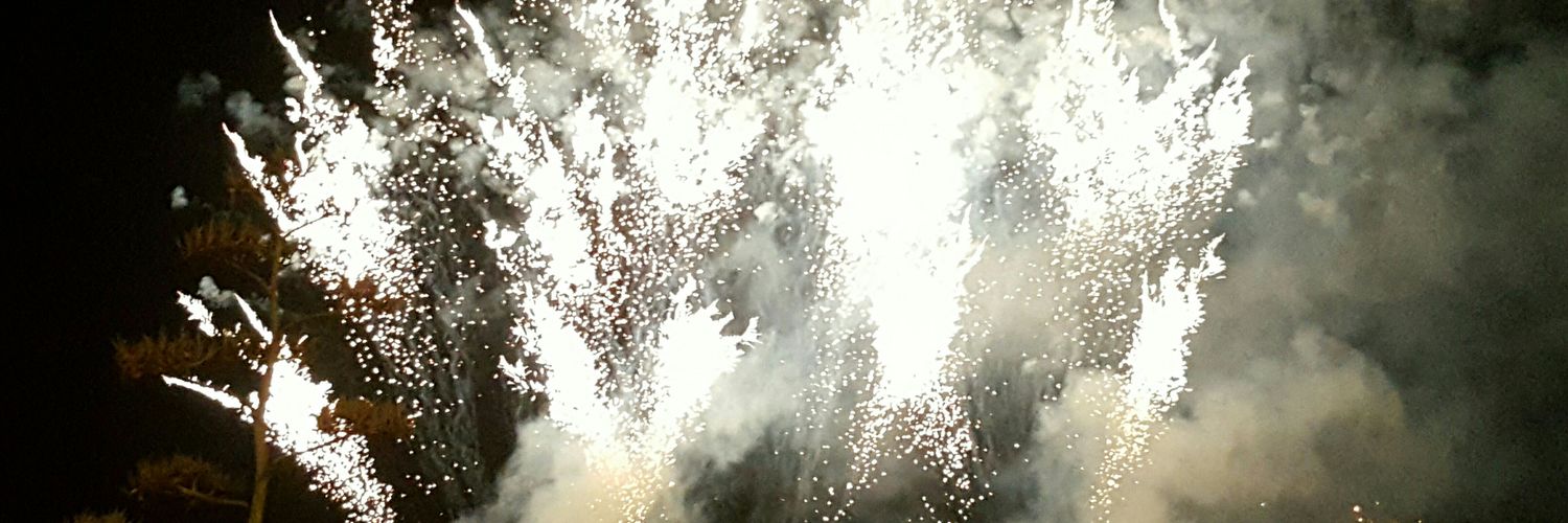 David Alonso banner