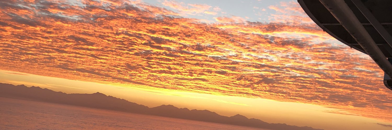 SauceyRyan's profile banner image