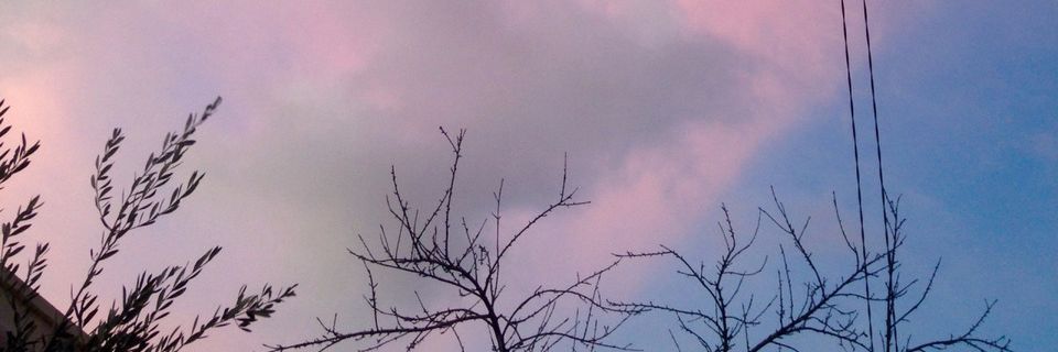 AlayneBeltranH's profile banner image
