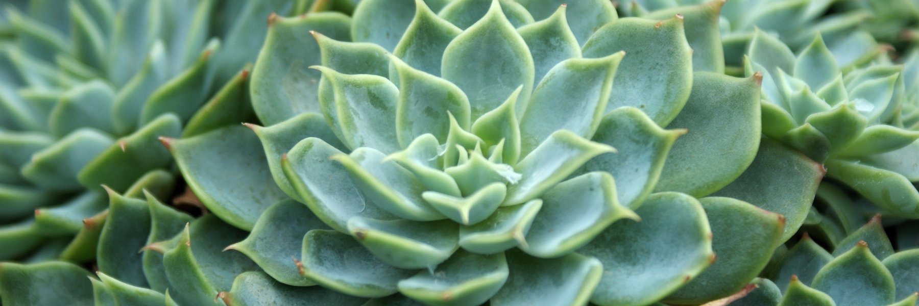 mattgrahamuk's profile banner image