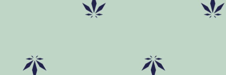 BackcrossPr's profile banner image