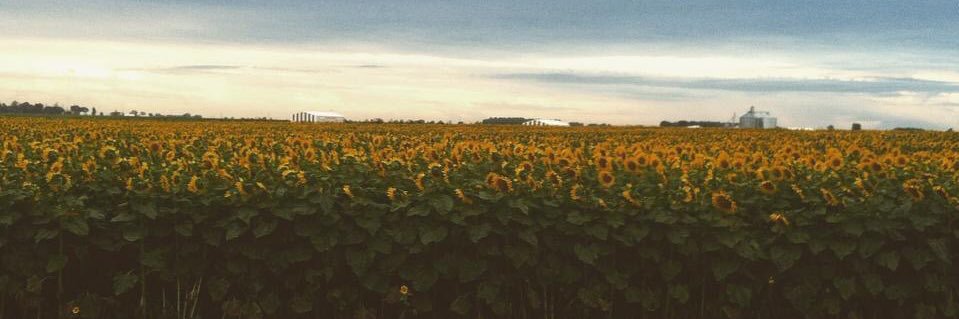 amsee21's profile banner image