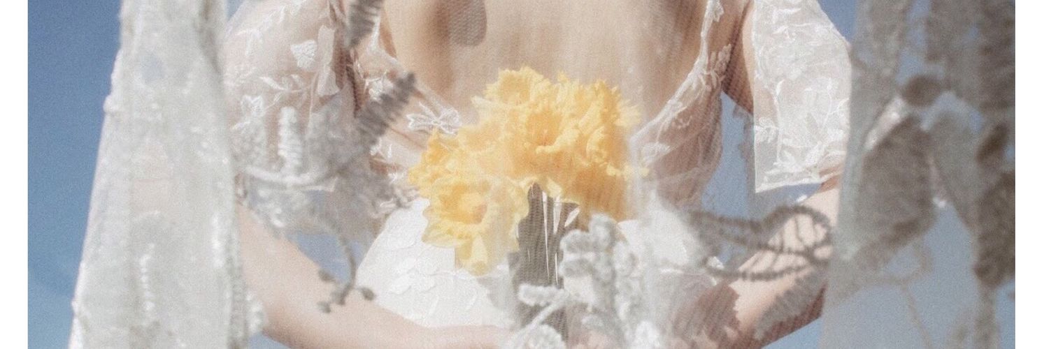 SarahLHird's profile banner image