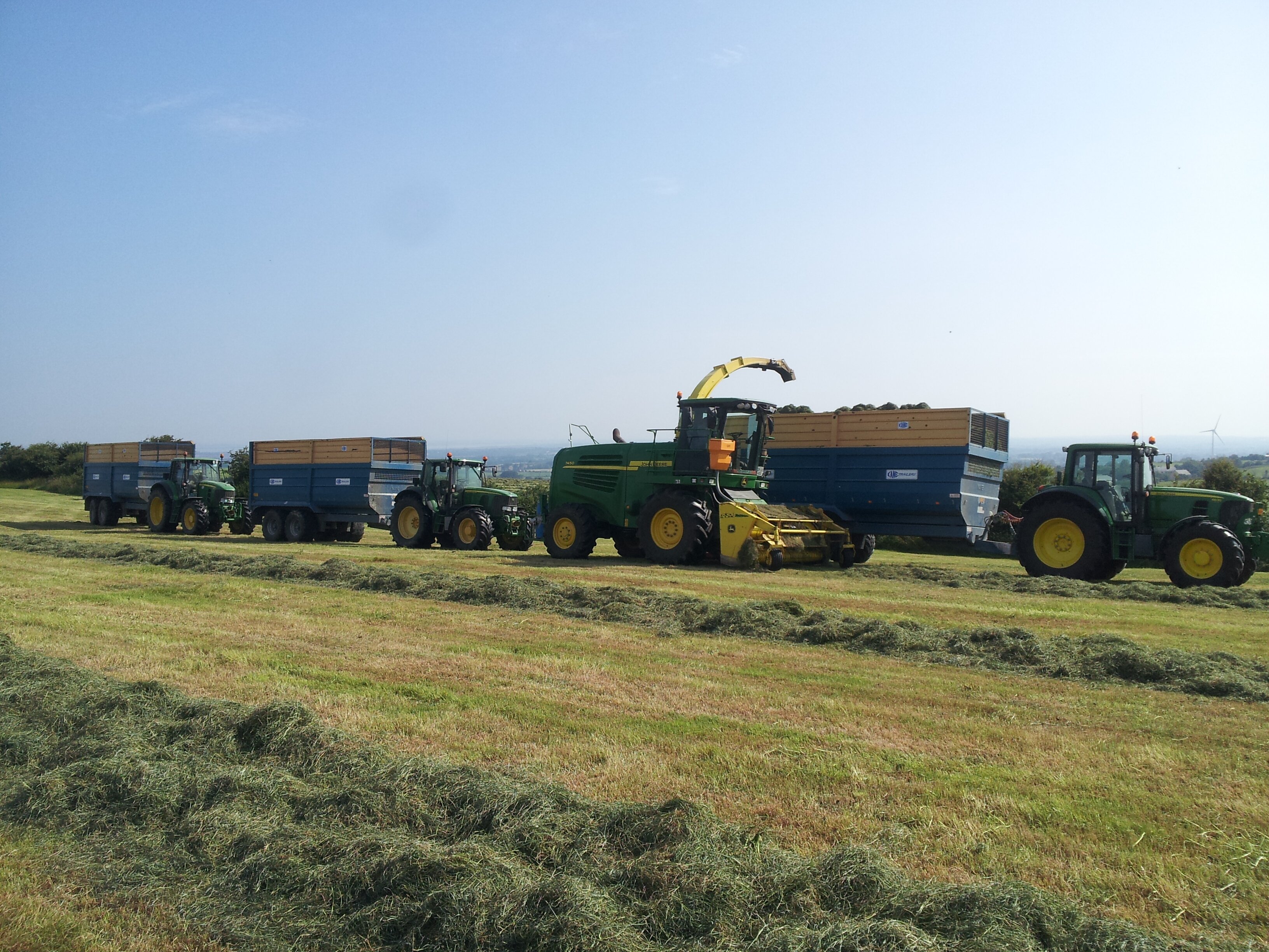 Martin Carroll banner