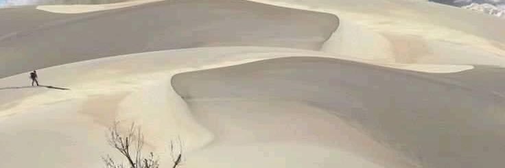 AdamMahamat1's profile banner image