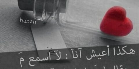 koaatr's profile banner image
