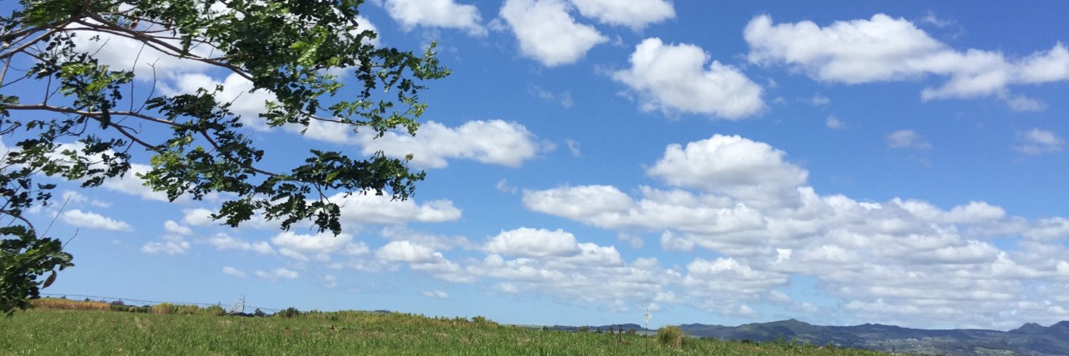 MToonsi's profile banner image