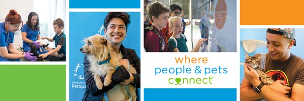 AnnPetSpace Profile Banner