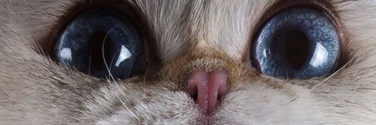 iremgkc's profile banner image