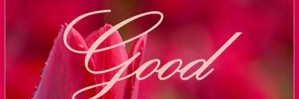 PierreTheWoman, MBA banner